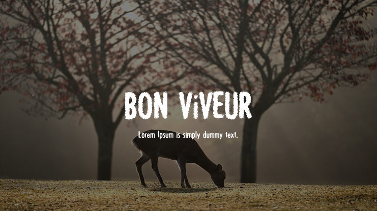 BON ViVEUR Font