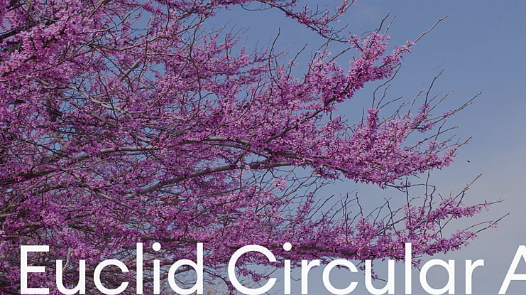 Euclid Circular A Font Family