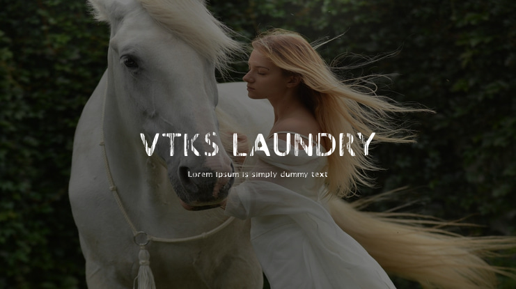 VTKS LAUNDRY Font