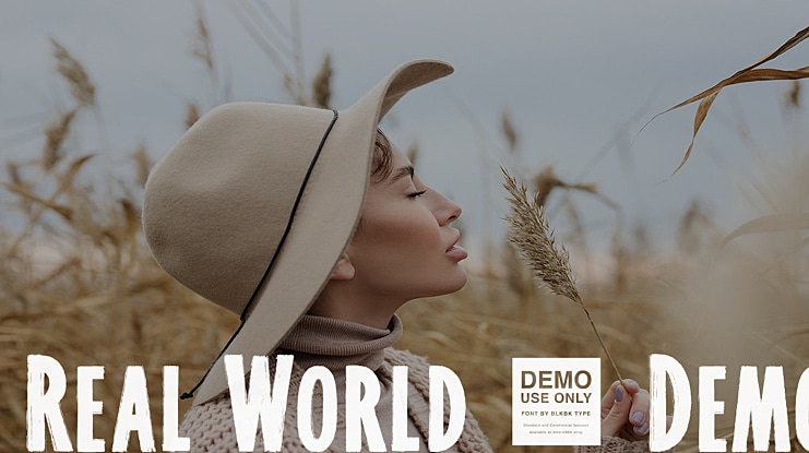 Real World - Demo Font