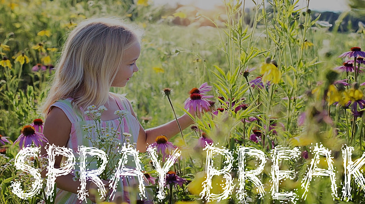 Spray Break Font