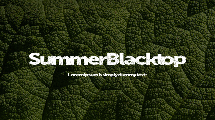 SummerBlacktop Font