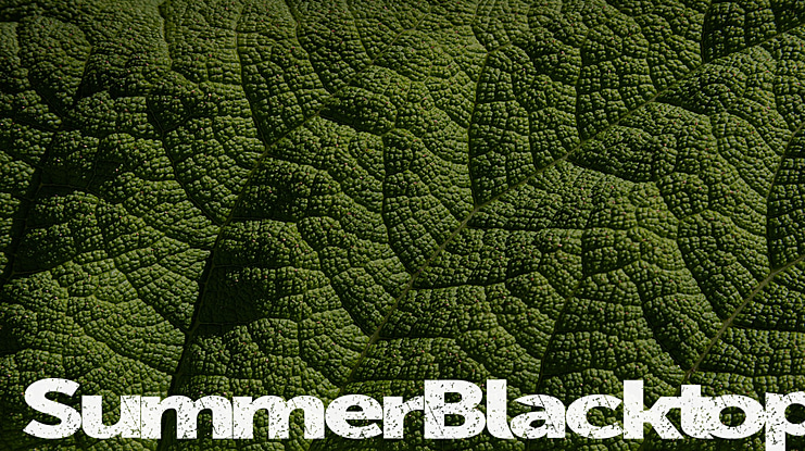 SummerBlacktop Font