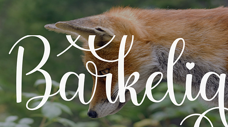 Barkelia Font