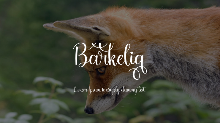 Barkelia Font