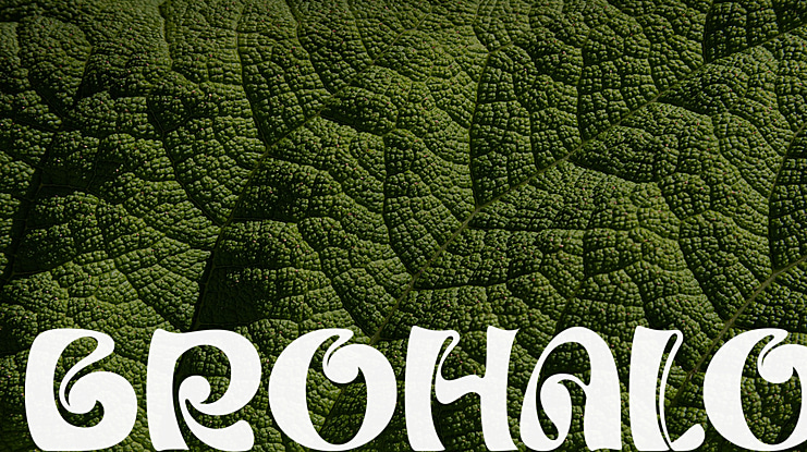 BROHALO Font