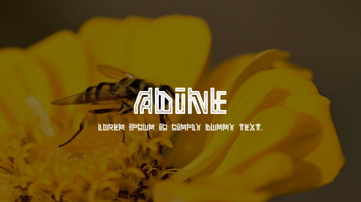Adine Font