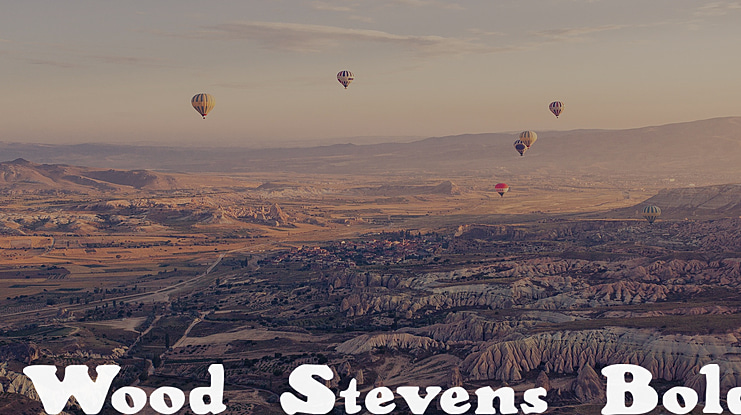 Wood Stevens Font