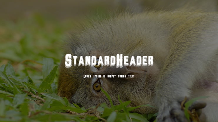 StandardHeader Font