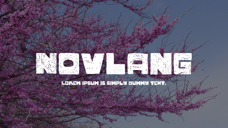 Novlang Font