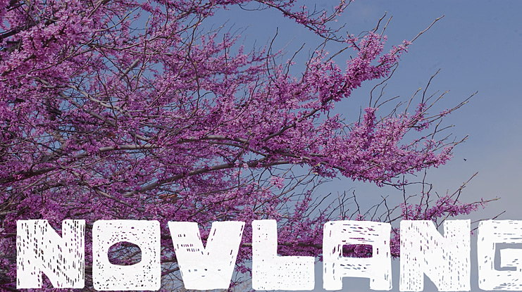 Novlang Font