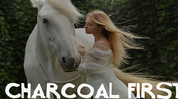 Charcoal first Font