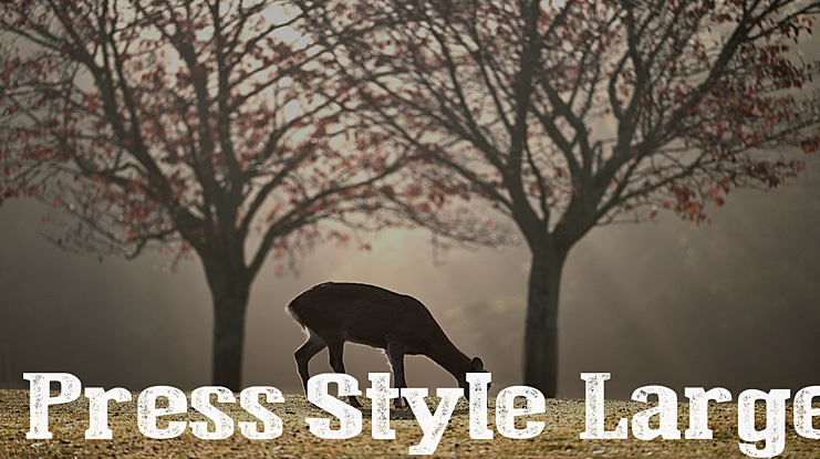 Press Style  Large Font