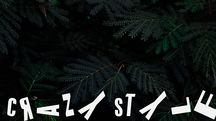 cRAZY sTYLE Font