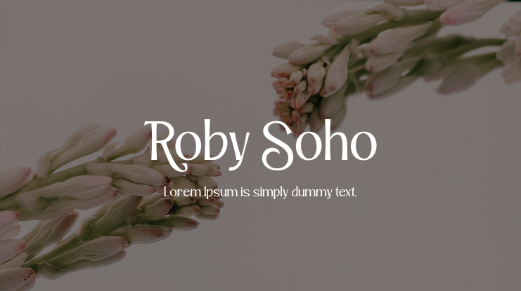 Roby Soho Font