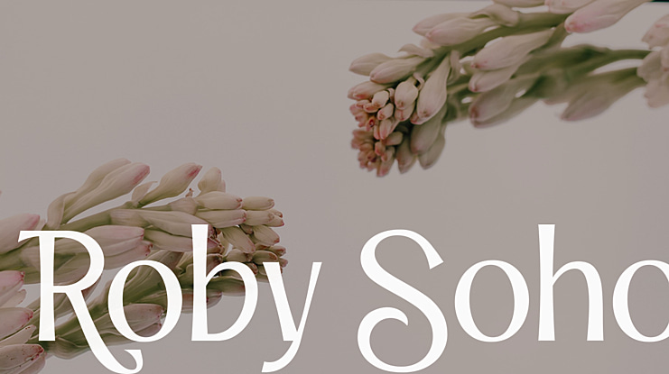 Roby Soho Font