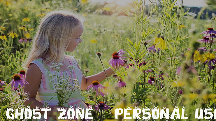 Ghost Zone - Personal Use Font