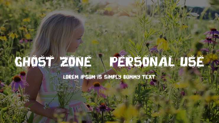 Ghost Zone - Personal Use Font
