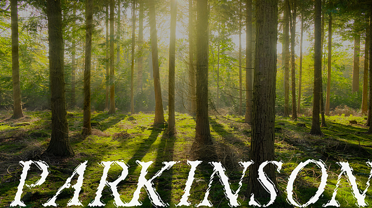 Parkinson Font