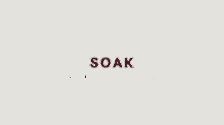 SOAK Font