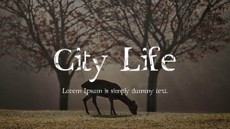 City Life Font