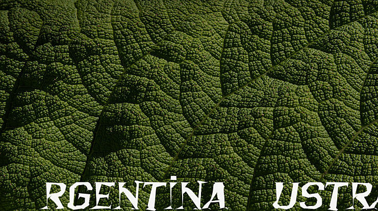 Argentina Austral Font