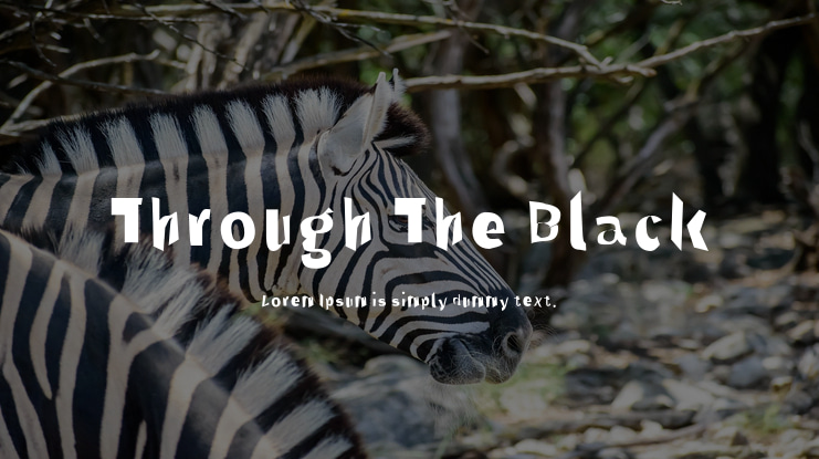 Through The Black Font Family