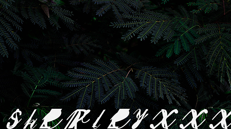 SherleyXXX Font