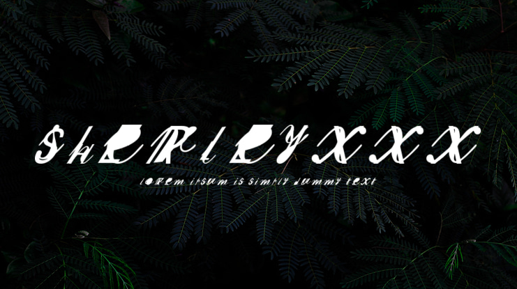 SherleyXXX Font