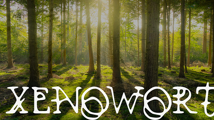 Xenowort Font