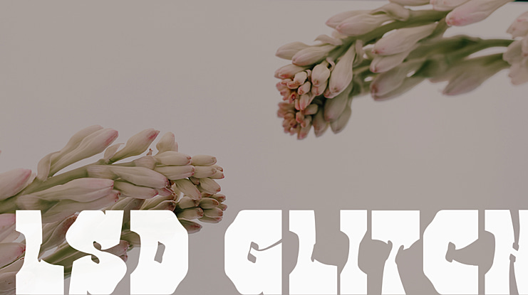 LSD GLITCH Font