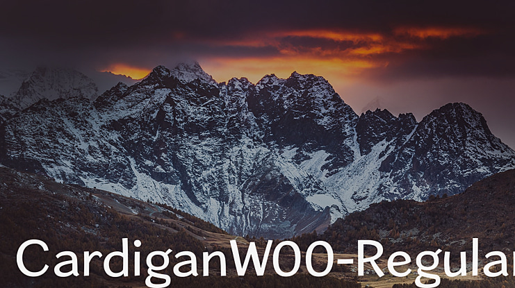 CardiganW00- Font Family