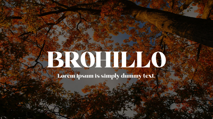 BROHILLO Font