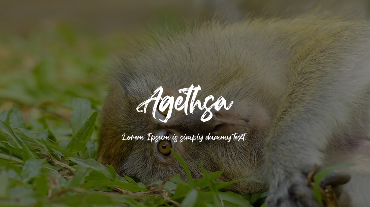 Agethsa Font