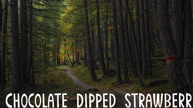 Chocolate Dipped Strawberry Font