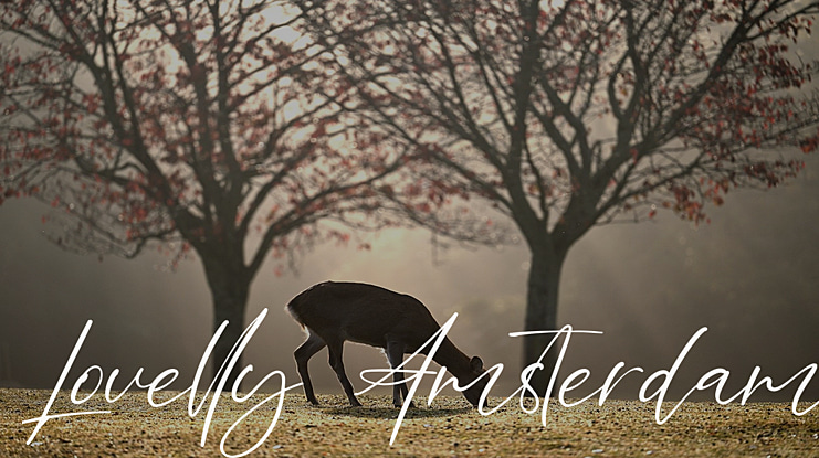 Lovelly Amsterdam Font Family