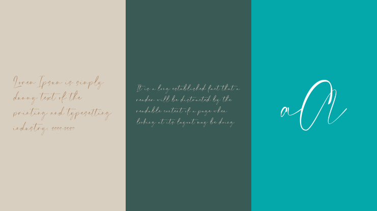 Elegant Signature Font