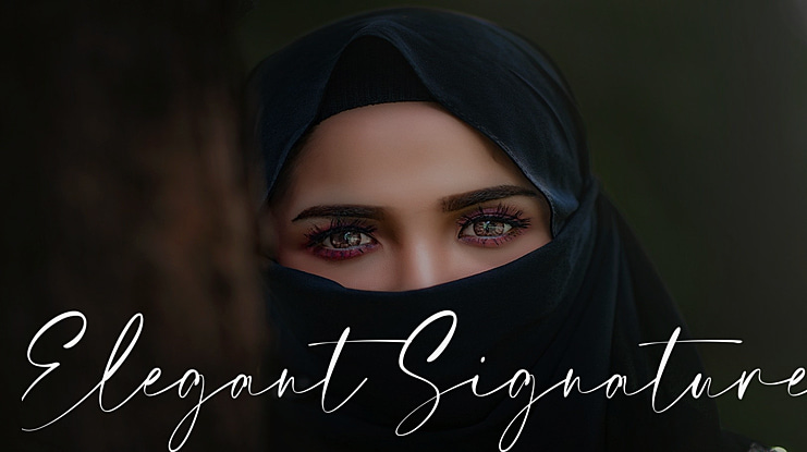 Elegant Signature Font