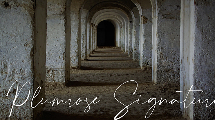 Plumrose Signature Font