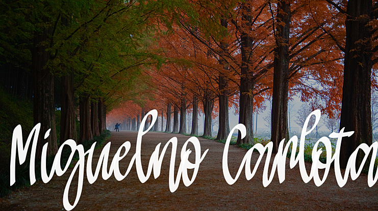 Miguelno Carlota Font