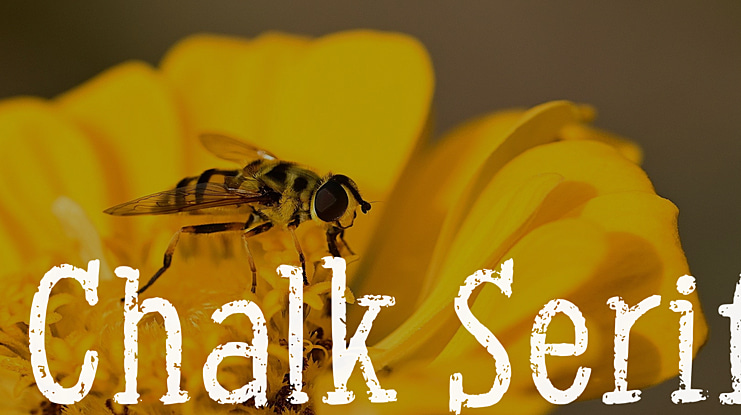 Chalk Serif Font
