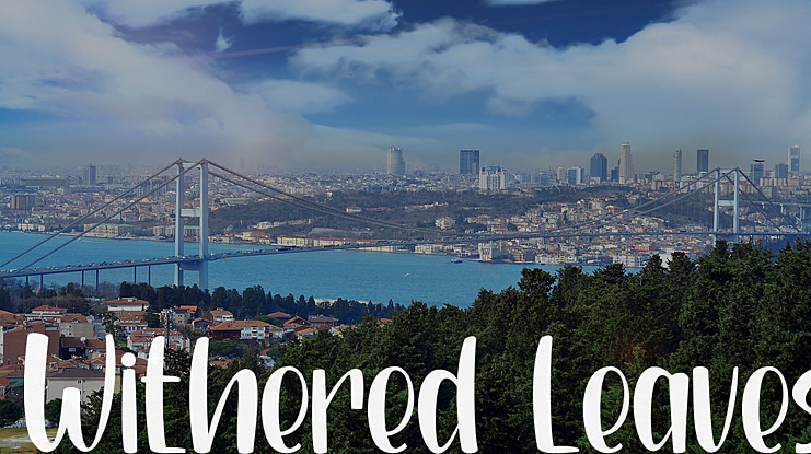 Withered Leaves Font