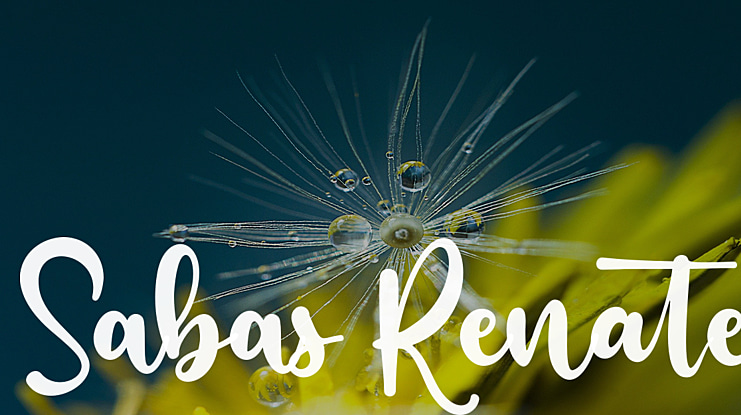 Sabas Renate Font