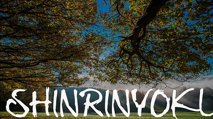 Shinrinyoku Font Family