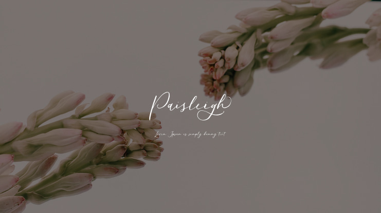 Paisleigh Font