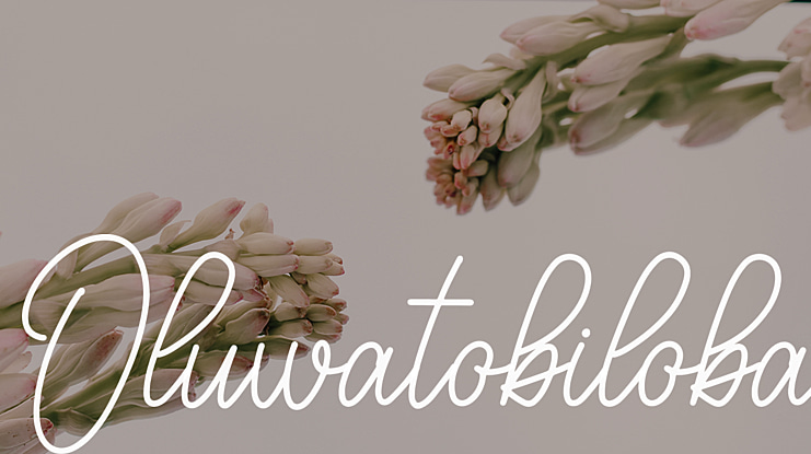 Oluwatobiloba Font