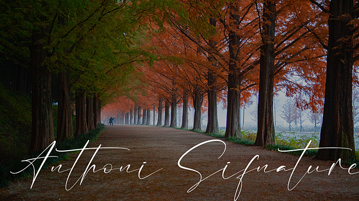 Anthoni Sifnature Font