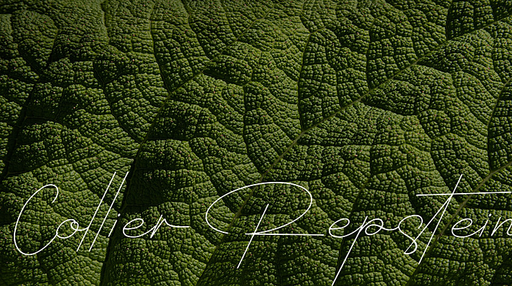 Collier Repstein Font
