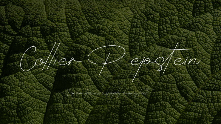 Collier Repstein Font