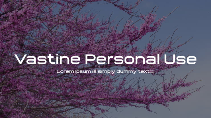 Vastine Personal Use Font